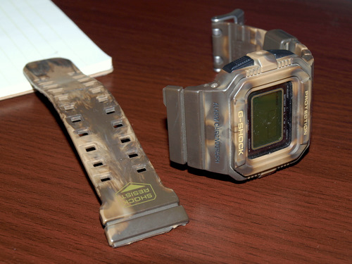 P9294855.JPG